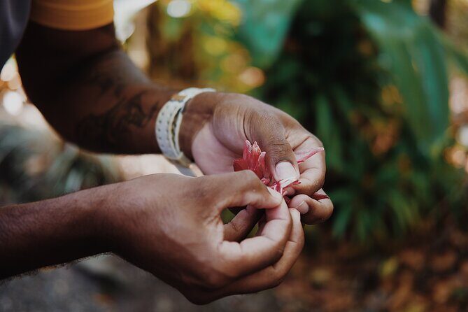 Walkabout Cultural Adventures - Ngana Julaymba Dungay Full Day - What Travelers Can Expect