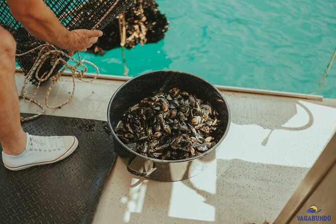 walking-boat-tour-visit-ston-walls-and-taste-shells-on-farm