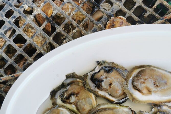 walking-boat-tour-visit-ston-walls-and-taste-shells-on-farm