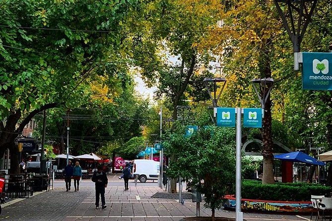 walking-city-tour