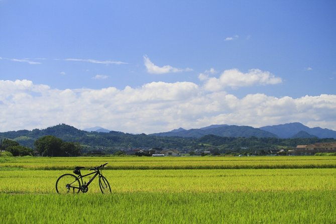 walking-cycling