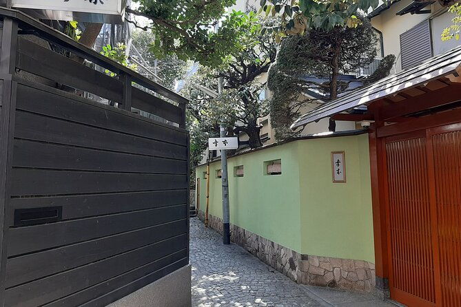 walking-discovery-tour-of-hidden-neighborhoods-of-tokyo