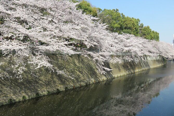 walking-discovery-tour-of-hidden-neighborhoods-of-tokyo