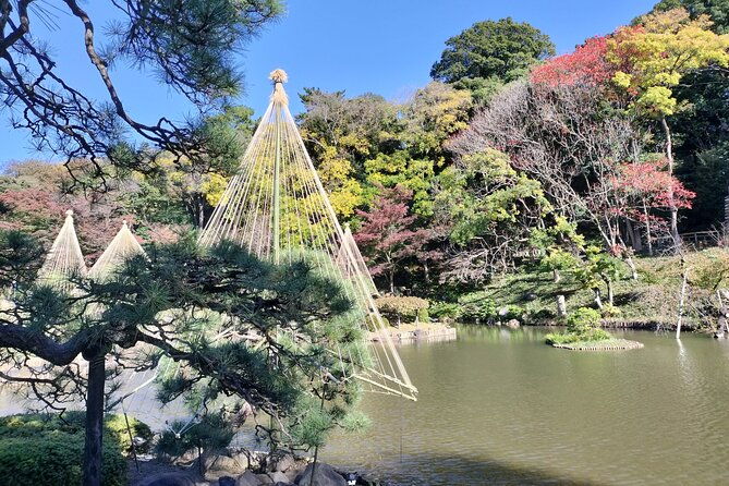 walking-discovery-tour-of-hidden-neighborhoods-of-tokyo