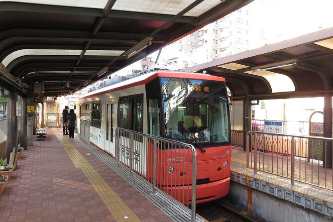 walking-discovery-tour-of-hidden-neighborhoods-of-tokyo