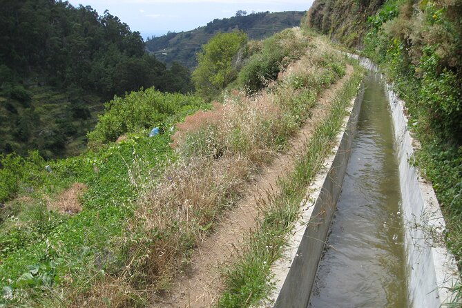 walking-experience-in-the-serra-dagua-valley