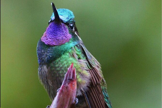walking-guided-tour-in-monteverde-reserve