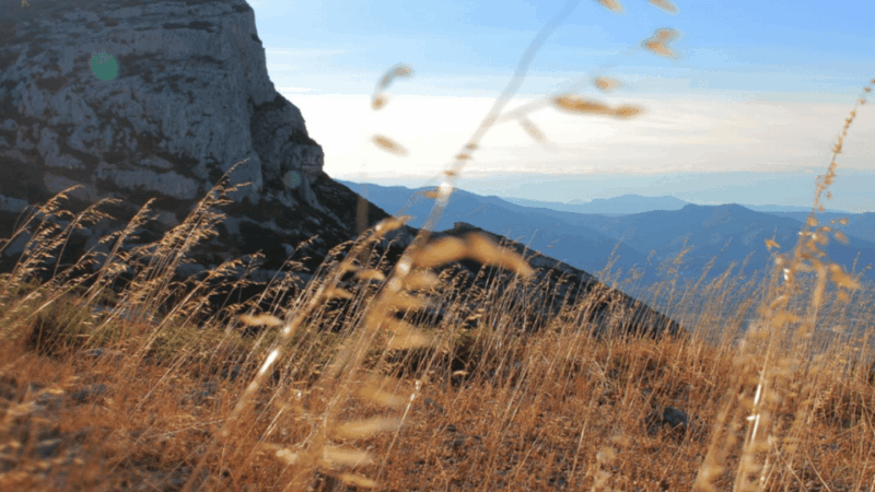 walking-in-marcel-pagnols-footsteps-guided-walking-tour