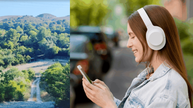 walking-in-marcel-pagnols-footsteps-guided-walking-tour