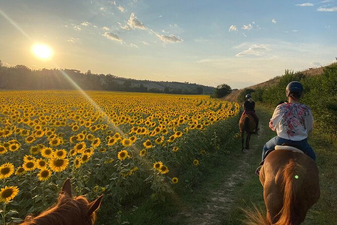 walking-in-nature