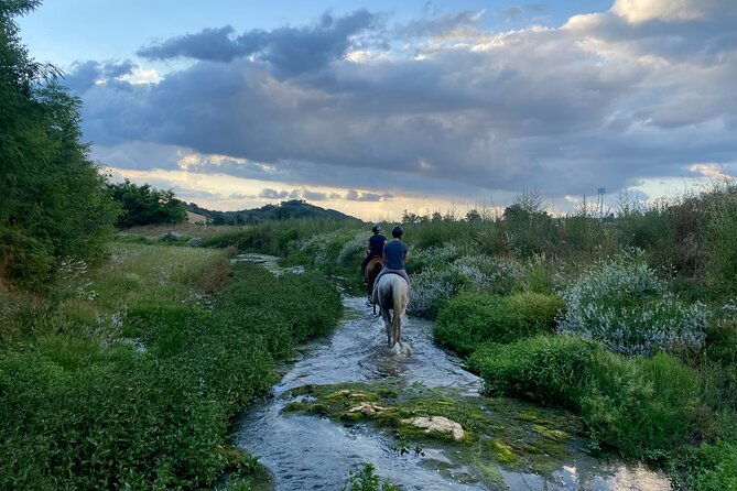 walking-in-nature