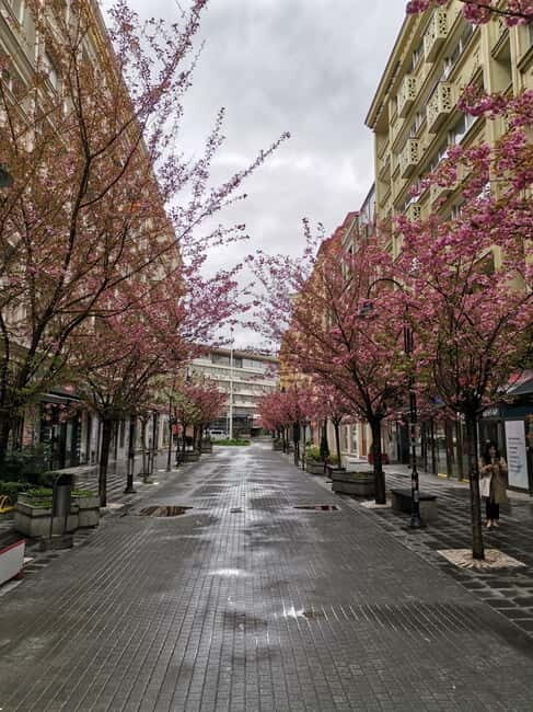Walking in Skopje - Exploring Skopje: A City of Contrasts and Character