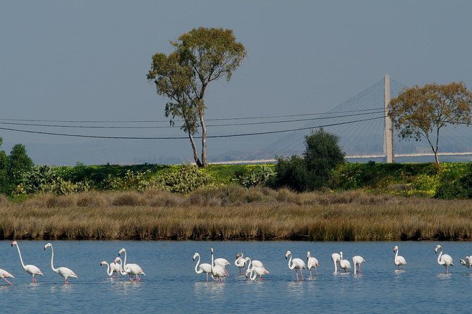 walking-in-tavira-the-venice-of-algarve-self-guided