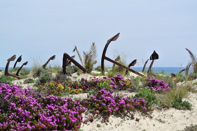 walking-in-tavira-the-venice-of-algarve-self-guided