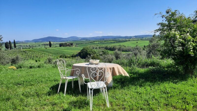 walking-in-the-olive-grove-how-is-extra-virgin-olive-oil-made