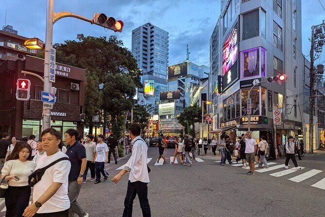 Walking Night Tour Explore Osaka's Vibrant Nightlife - Final Thoughts: Who Will Love This Tour?