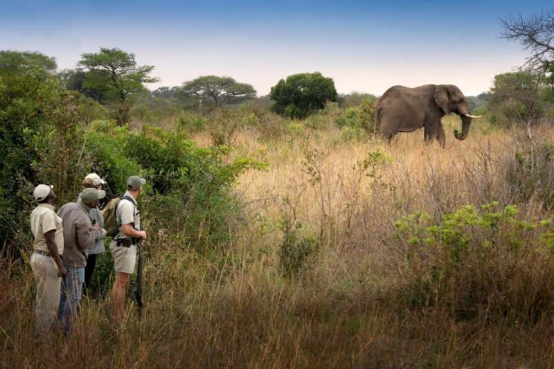 WALKING SAFARI - Quick overview