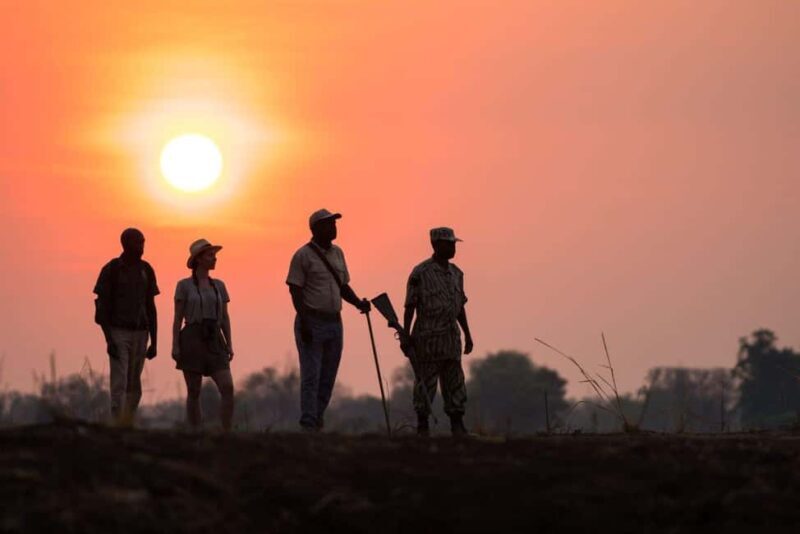 WALKING SAFARI - Who Will Love This Experience?