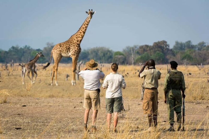 Walking Safari Arusha National Park - An In-Depth Look at the Walking Safari in Arusha National Park