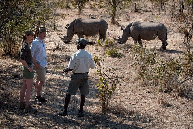 Walking Safari - An In-Depth Look at the Walking Safari Experience