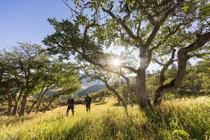 Walking safari & game drive Day trip in Arusha National park - Key Points