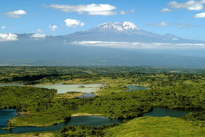 Walking safari & game drive Day trip in Arusha National park - Lunch and Afternoon Drive