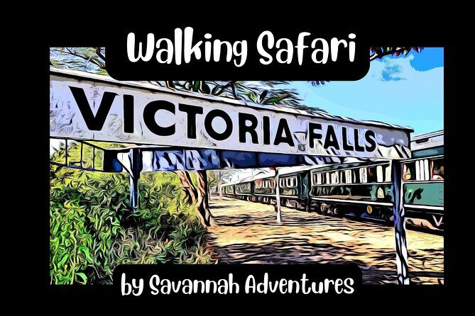 Walking Safari of Victoria Falls Town - What to Expect from the Walking Safari of Victoria Falls Town