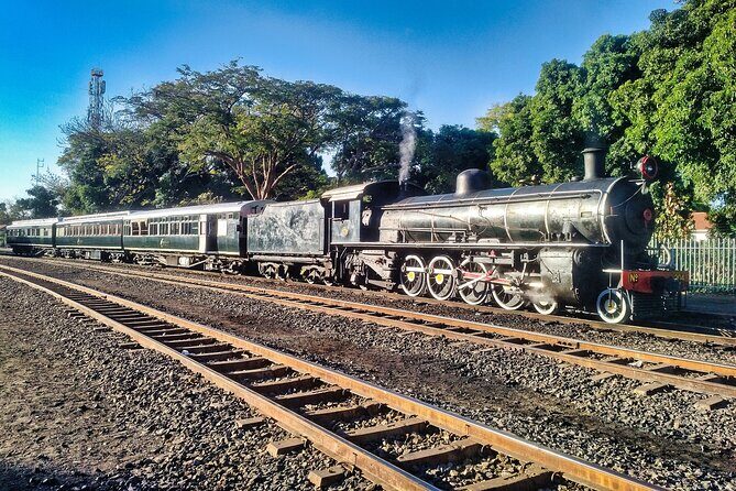 Walking Safari of Victoria Falls Town - Final Thoughts