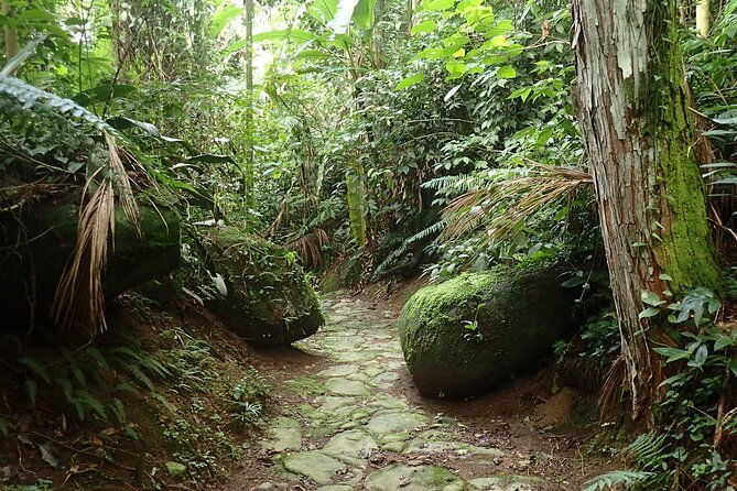 walking-the-gold-trail-tour