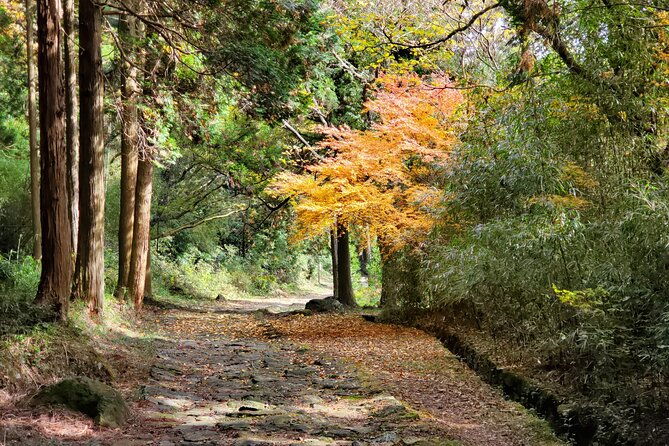 walking-through-the-aso-caldera-historical-walk-along-the-bungo-kaido