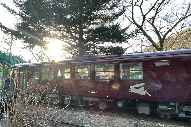 Walking Tour at Akagane Roads in Midori City - Walking Tour at Akagane Roads in Midori City: A Detailed Look