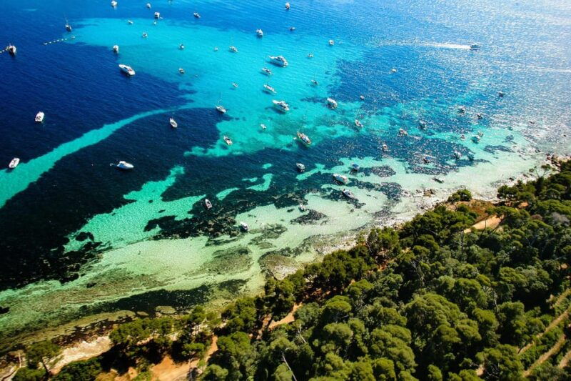 walking-tour-cannes-local-produce-tasting-and-iles-de-lerins-5h