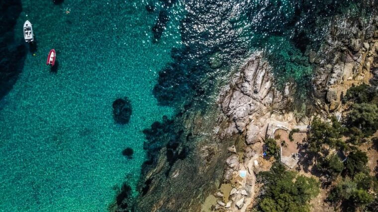 walking-tour-cannes-local-produce-tasting-and-iles-de-lerins-5h
