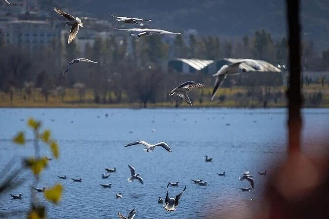 walking-tour-historic-jewels-in-tirana-2