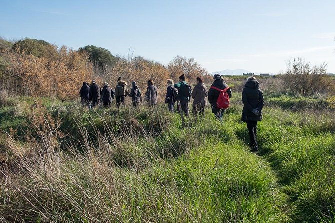 walking-tour-in-diaccia-botrona
