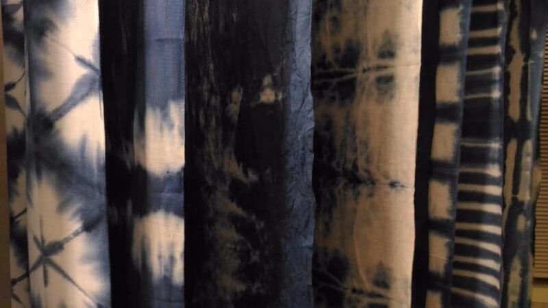 walking-tour-in-himeji-castle-garden-and-indigo-dyeing