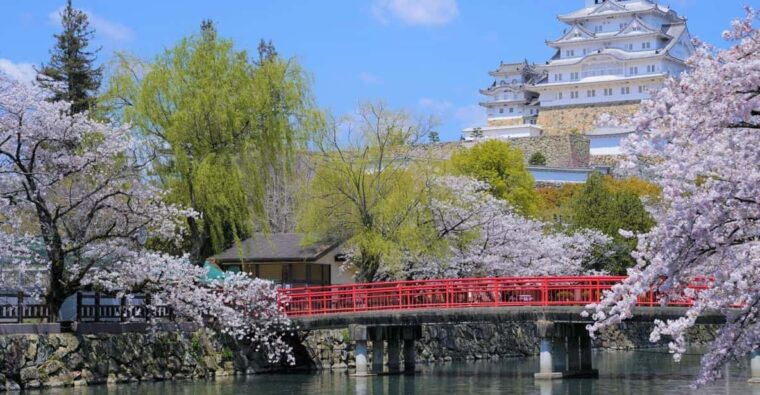 walking-tour-in-himeji-castle-garden-and-indigo-dyeing