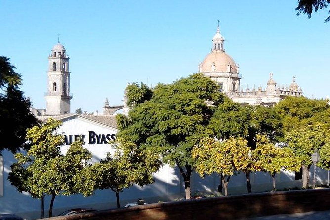walking-tour-in-jerez