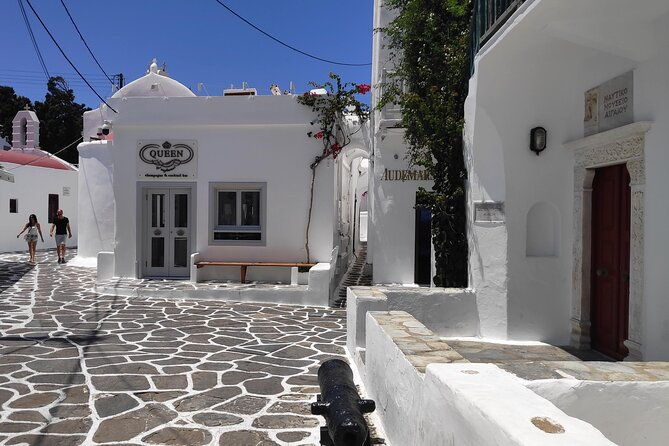 walking-tour-in-mykonos-town-secluded-beach-picnic