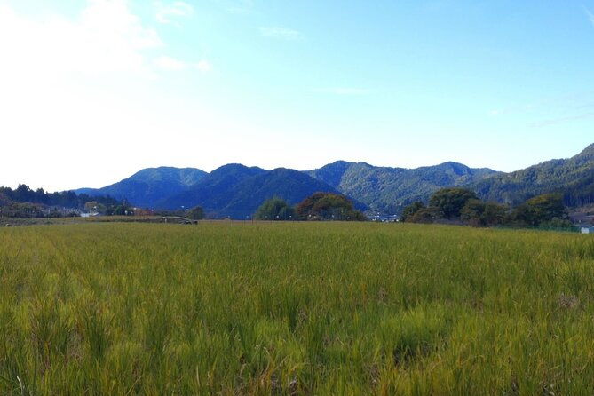 walking-tour-in-ohara-discover-the-tranquil-beauty-of-kyoto