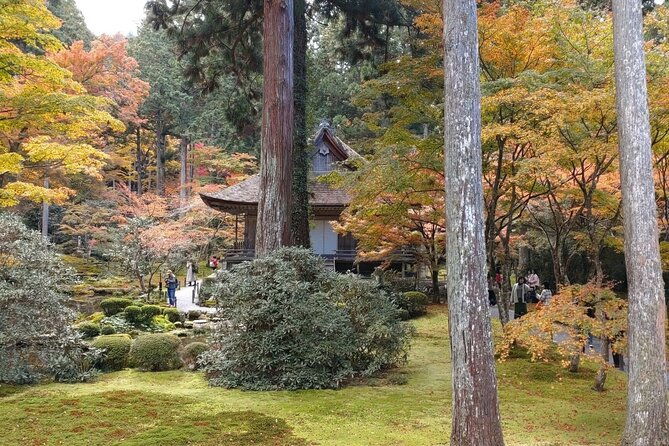 walking-tour-in-ohara-discover-the-tranquil-beauty-of-kyoto