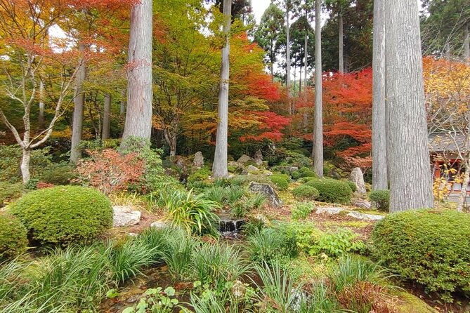 walking-tour-in-ohara-discover-the-tranquil-beauty-of-kyoto