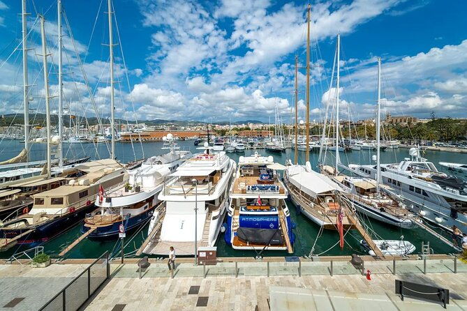 walking-tour-in-palma-de-mallorca