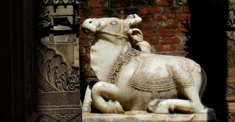 Walking Tour in the old part of the city of Varanasi - Authentic Experiences: What Reviewers Love