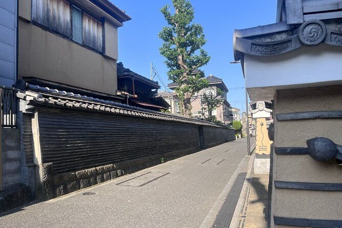 walking-tour-in-yanaka-nezu-and-sendagi-tea-ceremony-old-tokyo