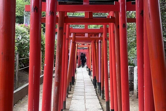 walking-tour-in-yanaka-nezu-and-sendagi-tea-ceremony-old-tokyo
