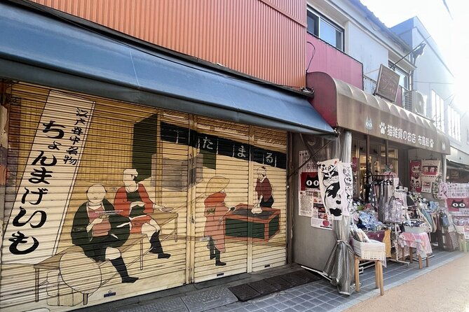 walking-tour-in-yanaka-nezu-and-sendagi-tea-ceremony-old-tokyo