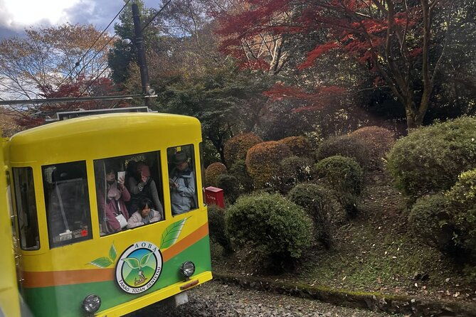 walking-tour-mount-takao-nature-and-tradition-in-tokyo
