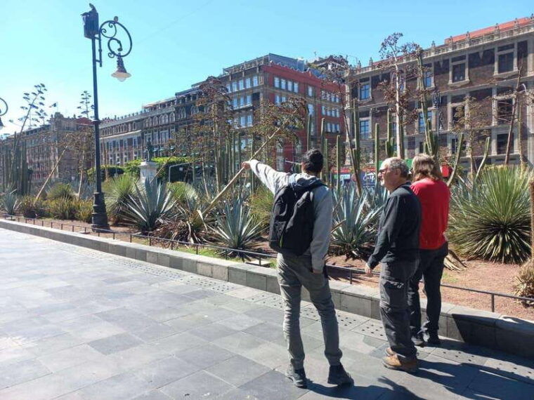 walking-tour-of-mexico-city