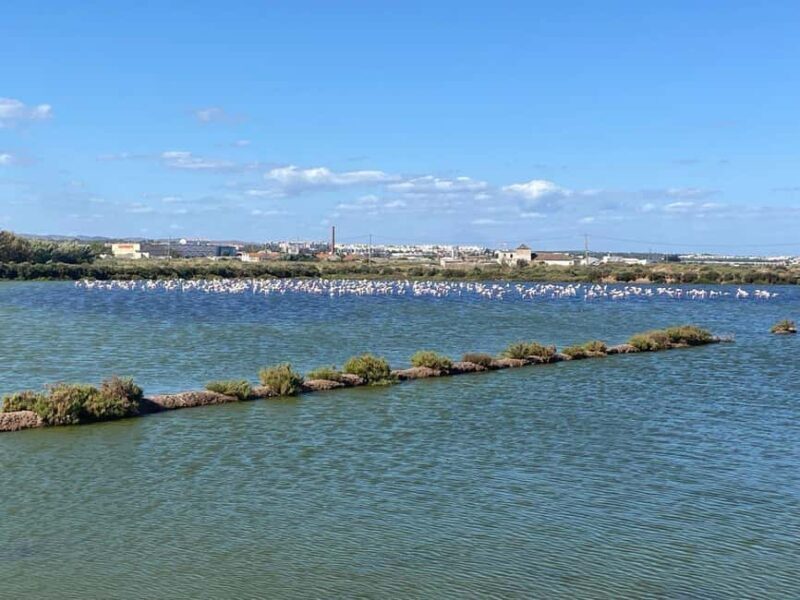 Walking tour of Tavira/Ilha de Tavira/Barril/Santa Luzia - Authenticity and local flavor